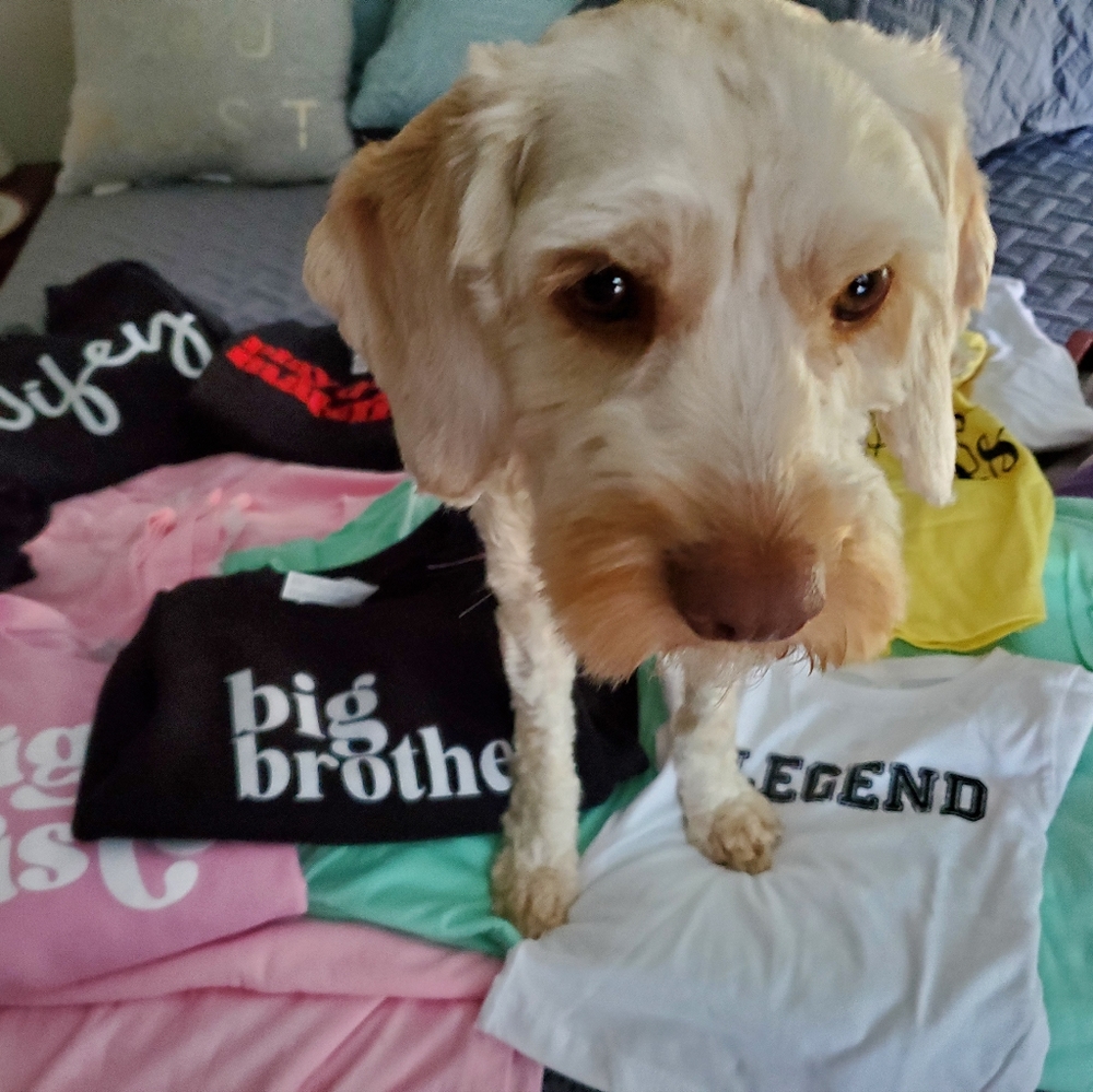 Tshirts